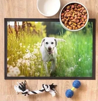 Tappetino Pet 60 x 40 cm