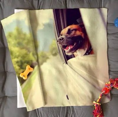 Copertina Pet 60 x 90 cm