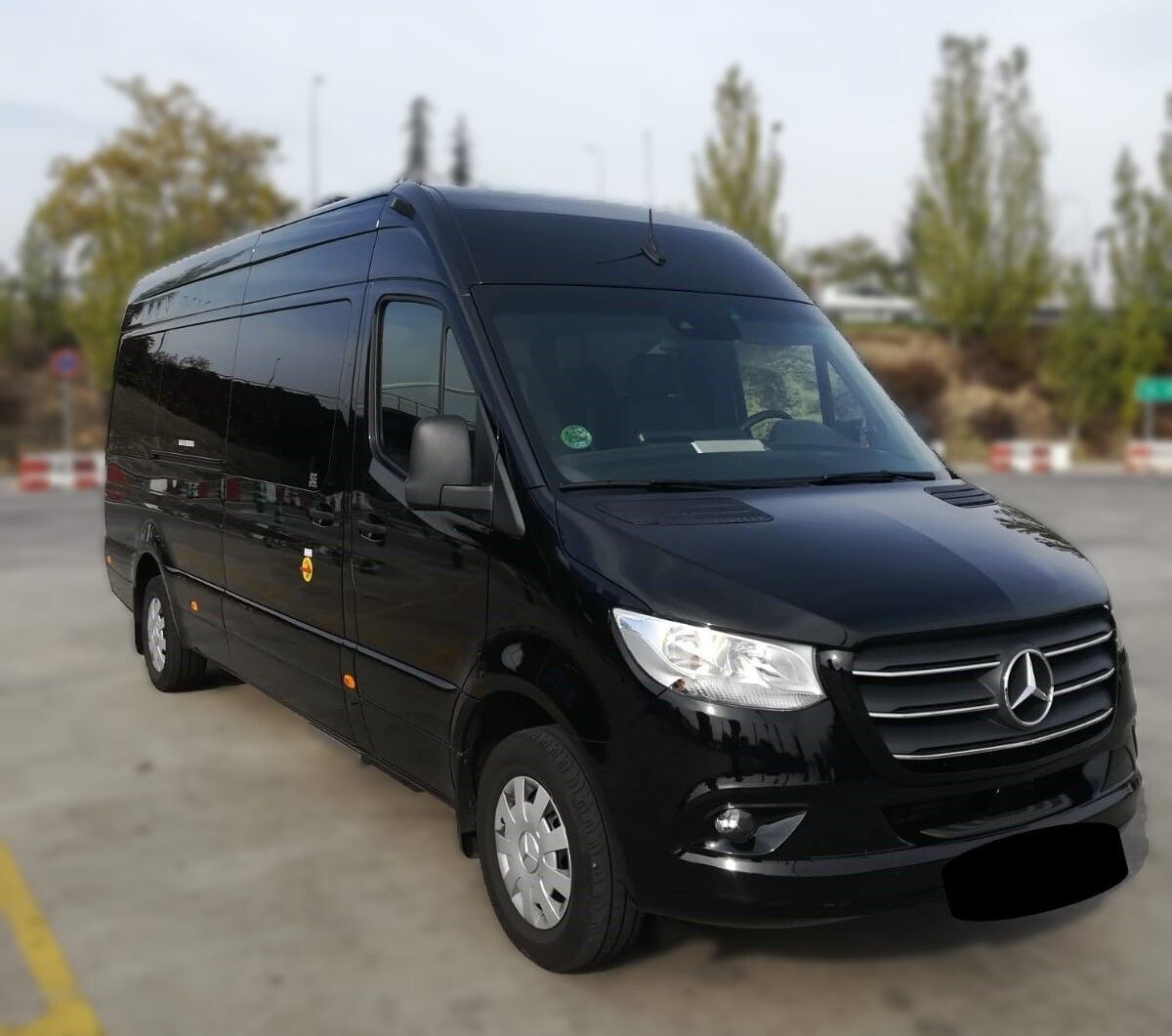 MINIBUS | AVE - MADRID