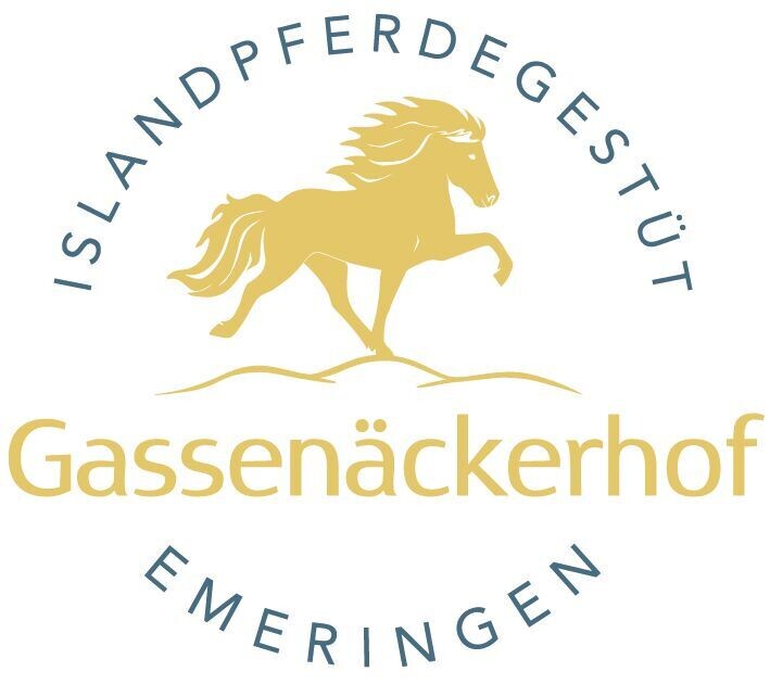014 Reiterferien mit Übernachtung – Islandpferdegestüt Gassenäckerhof Emeringen
25. August bis 30.August 2024