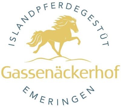 005 Reiterferien mit Übernachtung – Islandpferdegestüt Gassenäckerhof Emeringen
19. Mai bis 24. Mai 2024