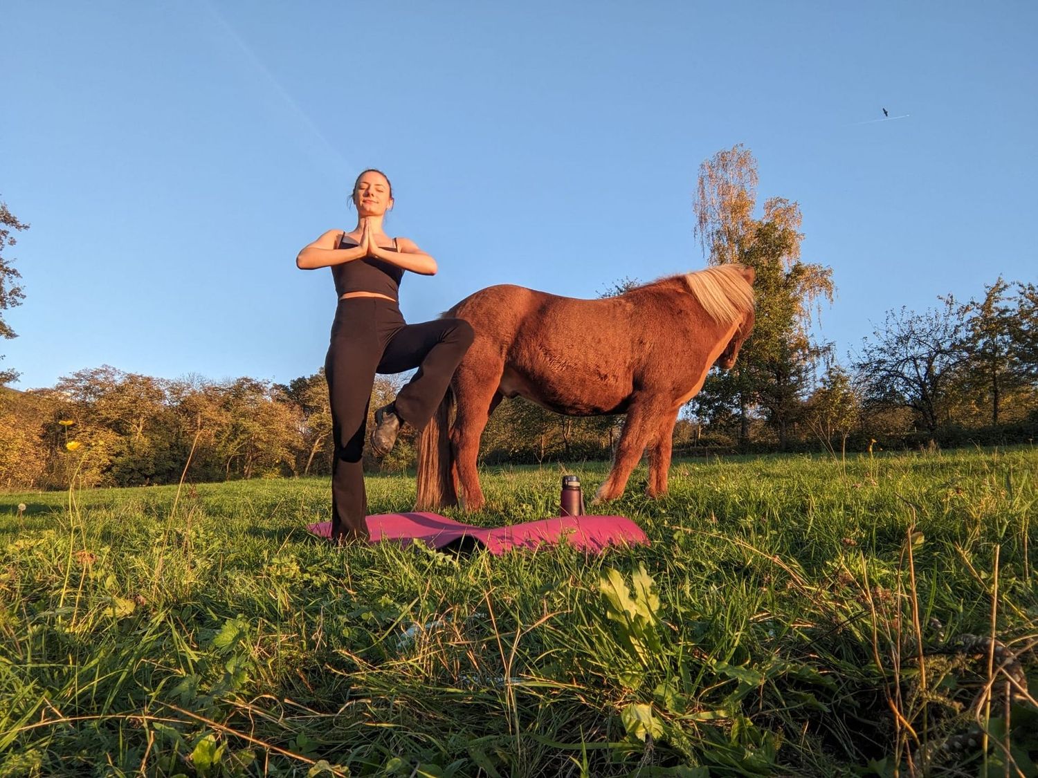 ​Reiten und Yoga 09.08.2025 15-17:30 Uhr mit Leonie