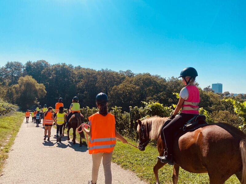 Ferienprogramm Herbstferien