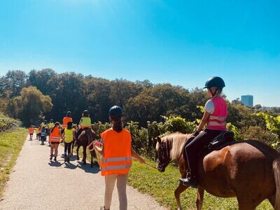 Ferienprogramm Herbstferien