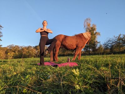 ​Reiten und Yoga 28.06.2026 15-17:30 Uhr mit Leonie