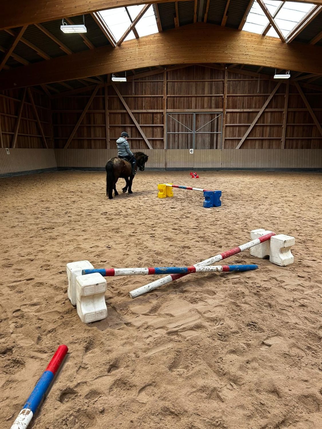 Springlehrgang mit Sonja Wünsche am 09. und 10.05.2026 Springlehrgang mit Sonja Wünsche am 09. und 10.05.2026