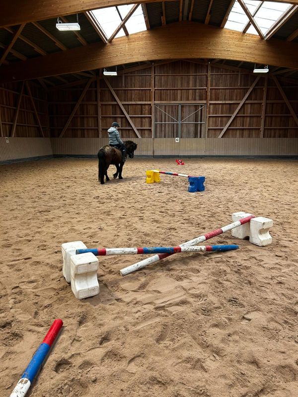 Springlehrgang mit Sonja Wünsche am 09. und 10.05.2026