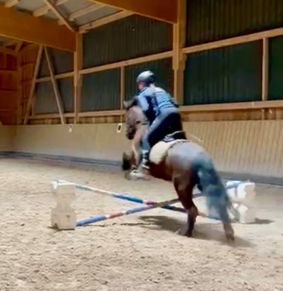 Stangenarbeit und Springen mit Sonja Wünsche am 08.11.2026