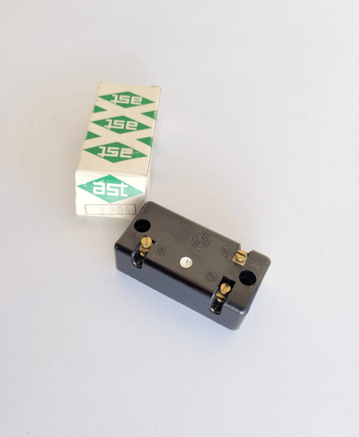 Rele 24v (ast)