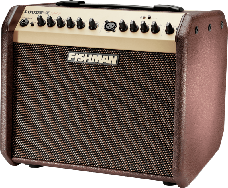 Fishman PRO-LBT-500