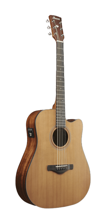Ibanez AW65ECELG
