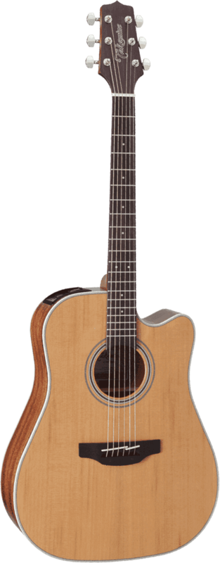 Takamine GD20CENS