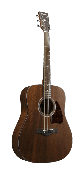 Ibanez AW54OPN