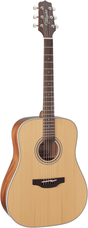 Takamine GD20NS