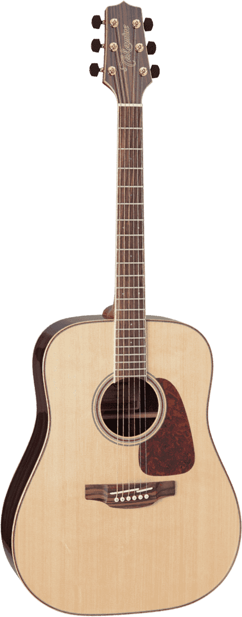 Takamine GD93NAT