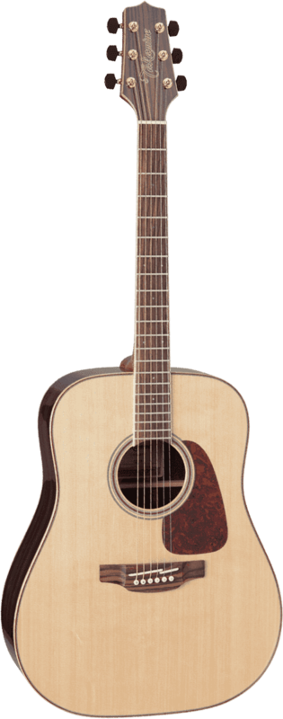 Takamine GD93NAT