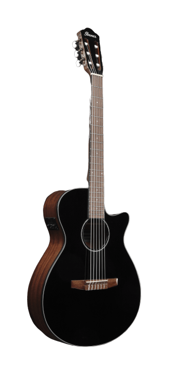 Ibanez AEG50NBKH