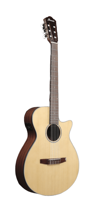 Ibanez AEG50NNT