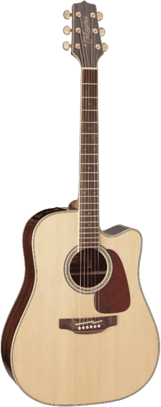 Takamine GD71CENAT