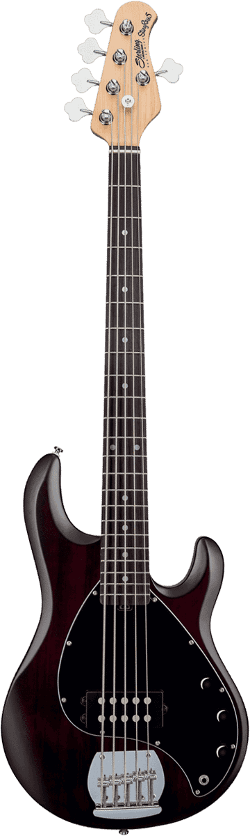 Sterling RAY5-WS-R1