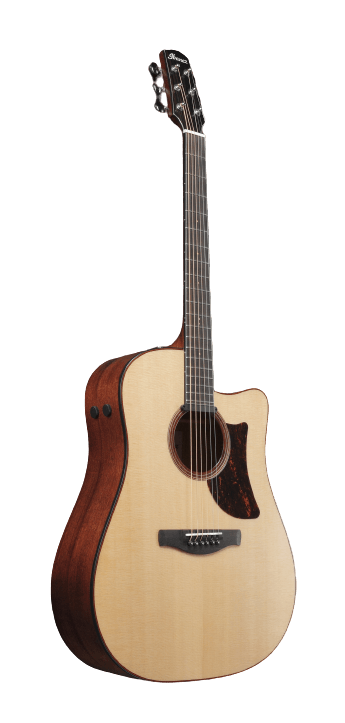 Ibanez AAD300CELGS