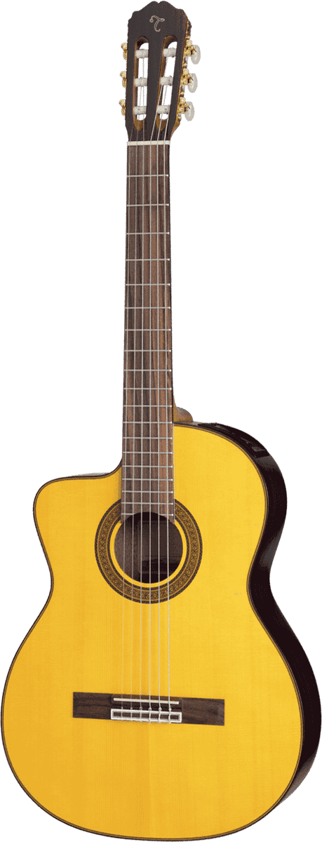Takamine GC5CELH-NAT