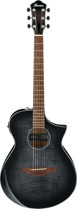 Ibanez AEWC400TKS