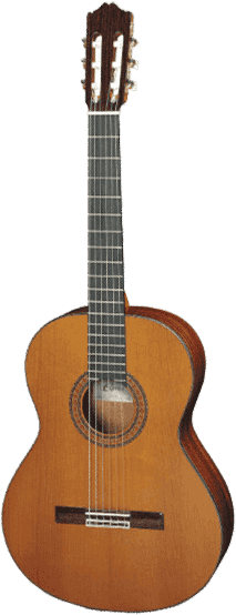 Cuenca 40 REQUINTO 1/2