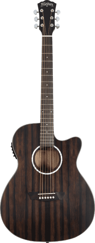 Washburn DEEPFOREST-E-ACE