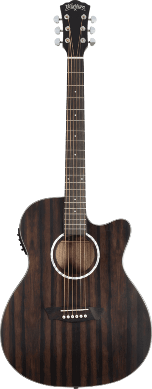 Washburn DEEPFOREST-E-ACE