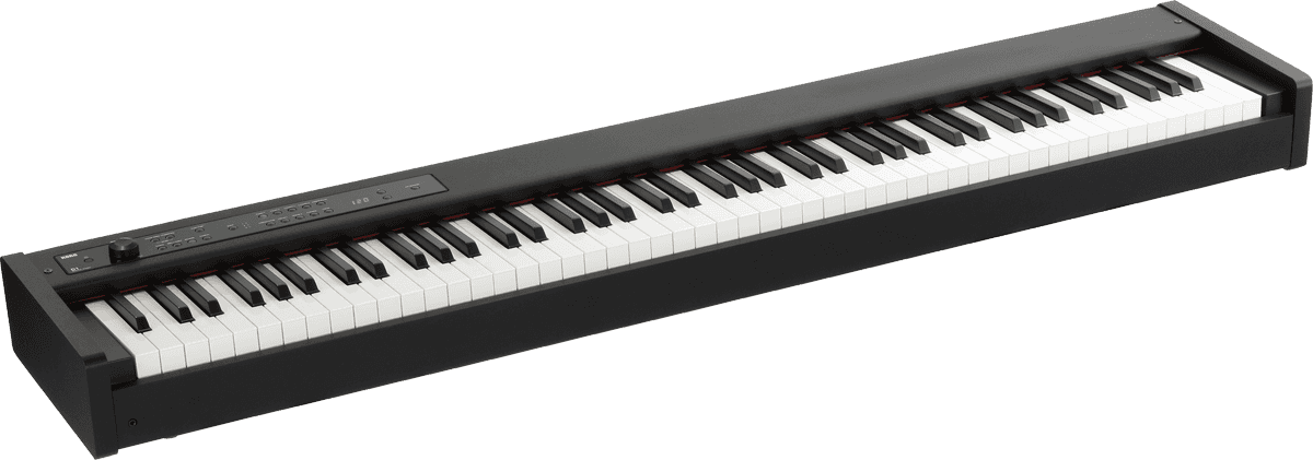 Korg D1