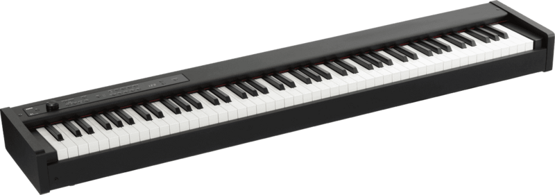 Korg D1