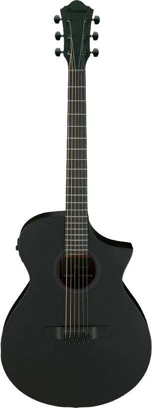 Ibanez AEWC621BOT