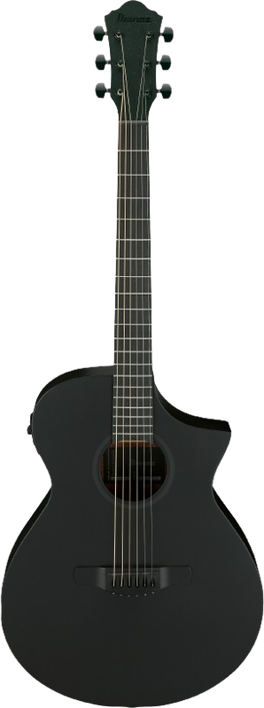 Ibanez AEWC621BOT