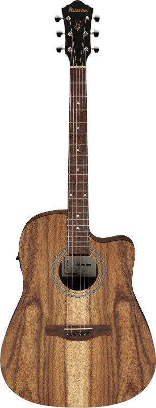 Ibanez V40WSCEOPB