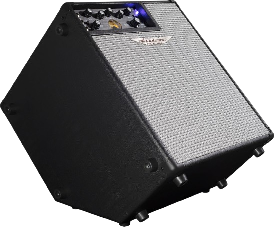 Ashdown ORIGINAL-EVO-C112