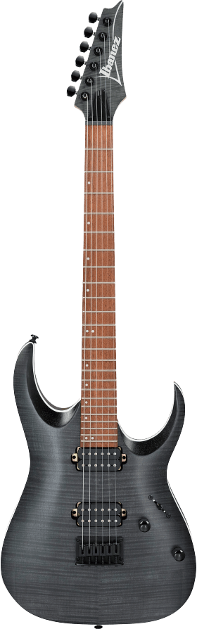Ibanez RGA42FMTGF