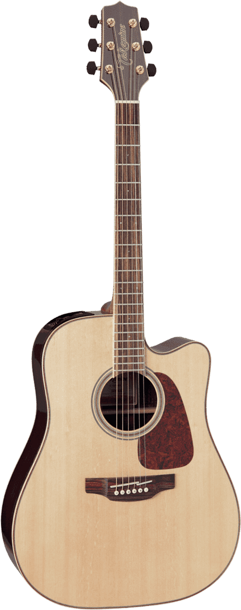 Takamine GD93CENAT