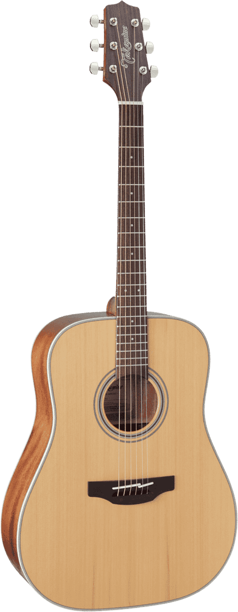 Takamine GD20NS