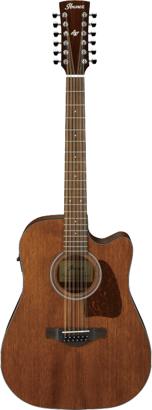 Ibanez AW5412CEOPN