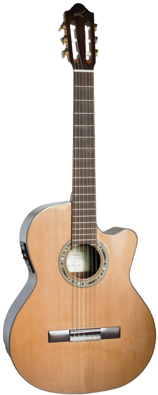 Kremona Fiesta F65CW