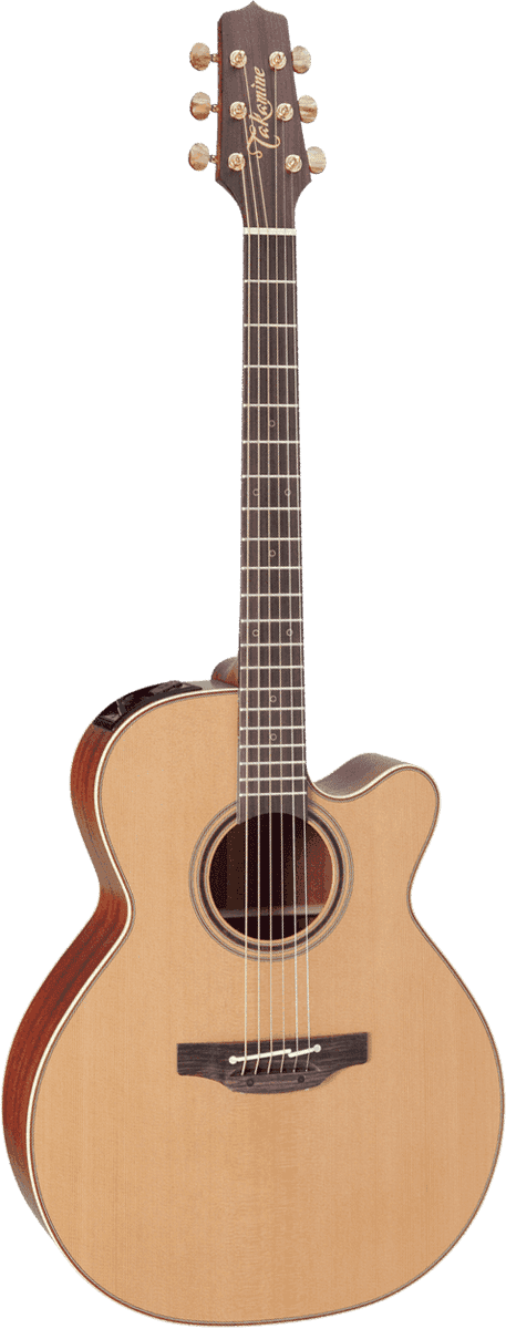 Takamine P3NC