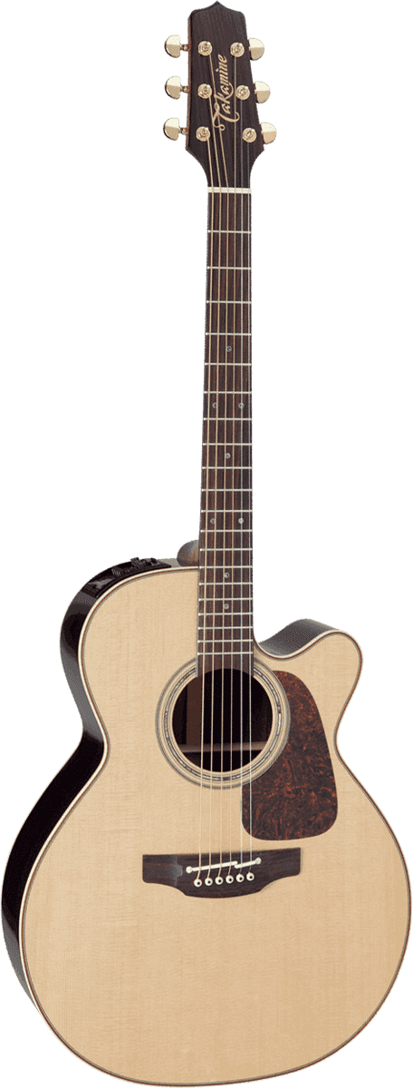 Takamine P5NC
