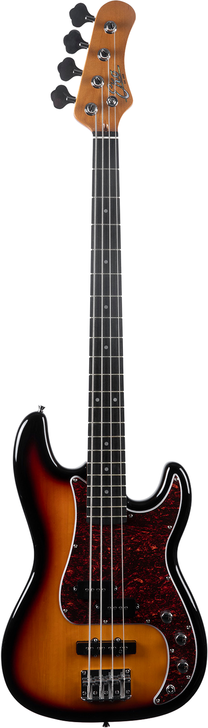 EKO PJ300-SB