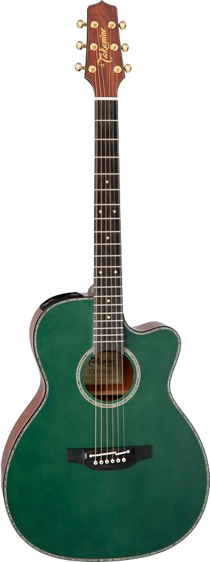 Takamine LTD2025