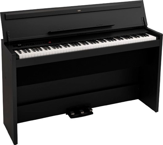 Korg E1-AIR-BK