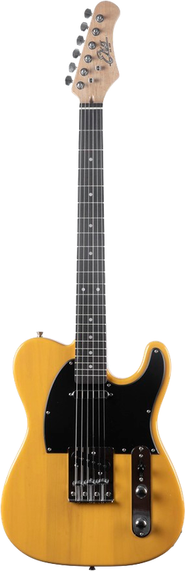 EKO TL300-BS