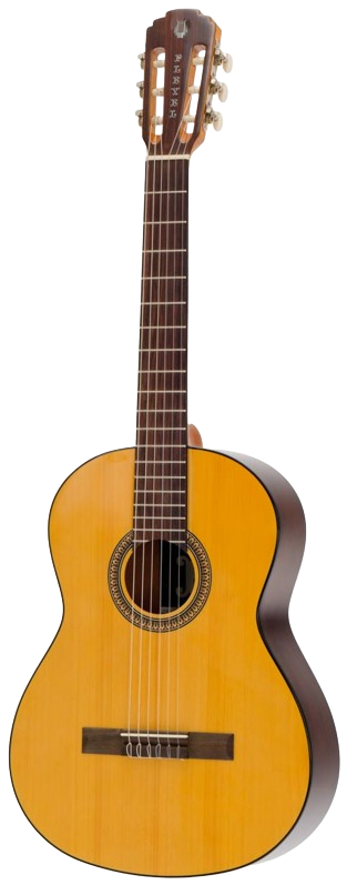 Pleyel P100
