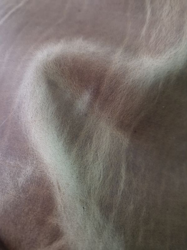 Leather bovine crazy horse beige color