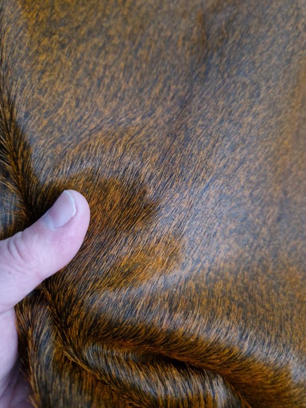 Leather horse with hair color camel
